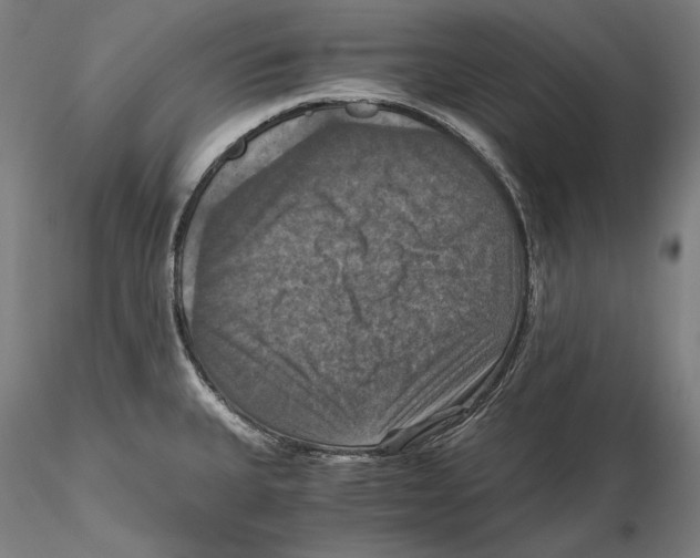 X0000115411335200912011331