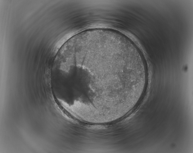 X0000115411337200912011331