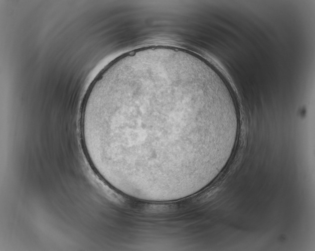 X0000115411339200912011331