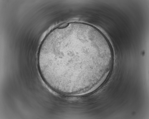 X0000115411341200912011331