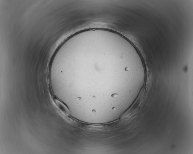 X0000115411342200912011331