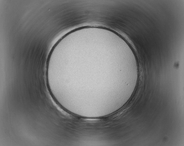 X0000115411343200912011331