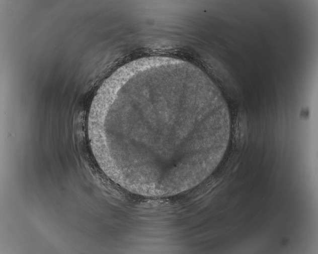 X0000115411346200912011330