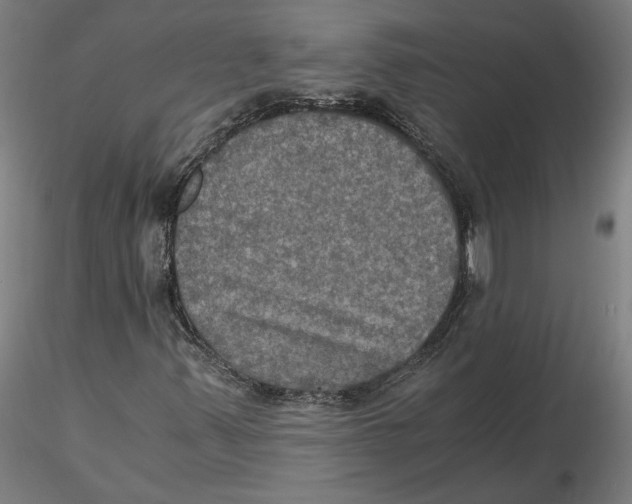 X0000115411347200912011330