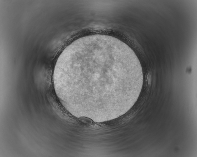 X0000115411348200912011330