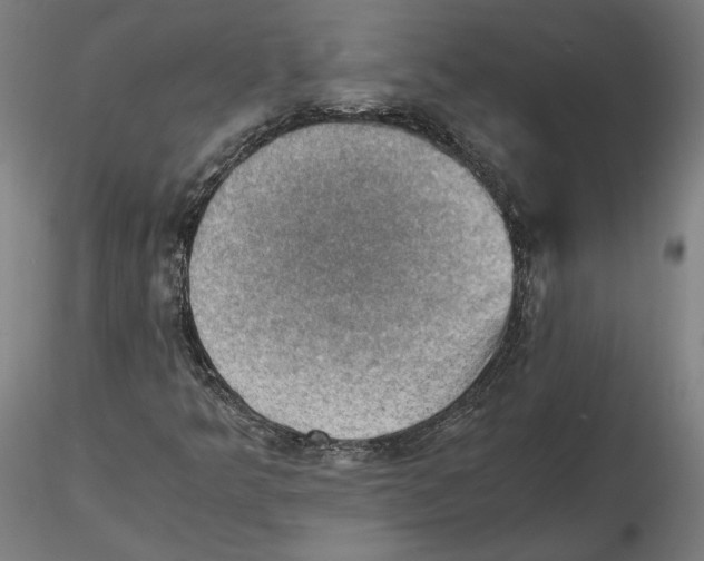 X0000115411349200912011330