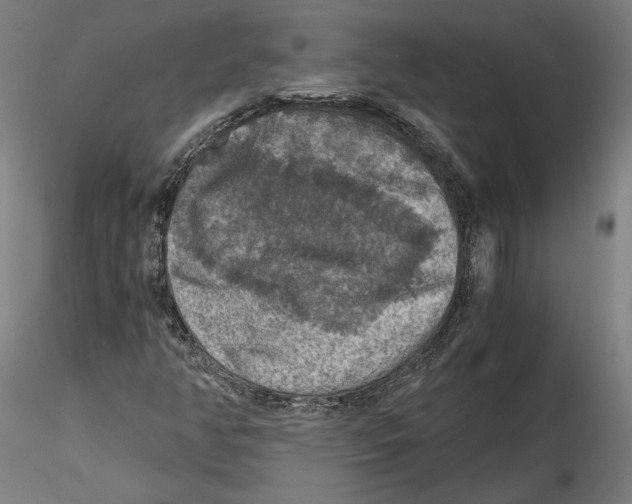 X0000115411350200912011330