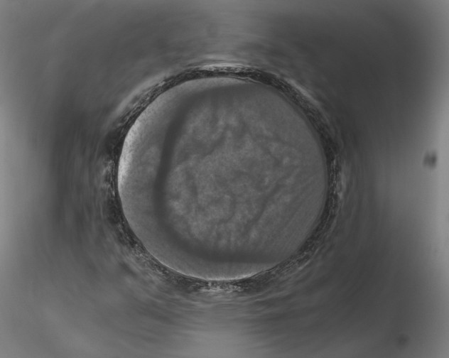 X0000115411351200912011330