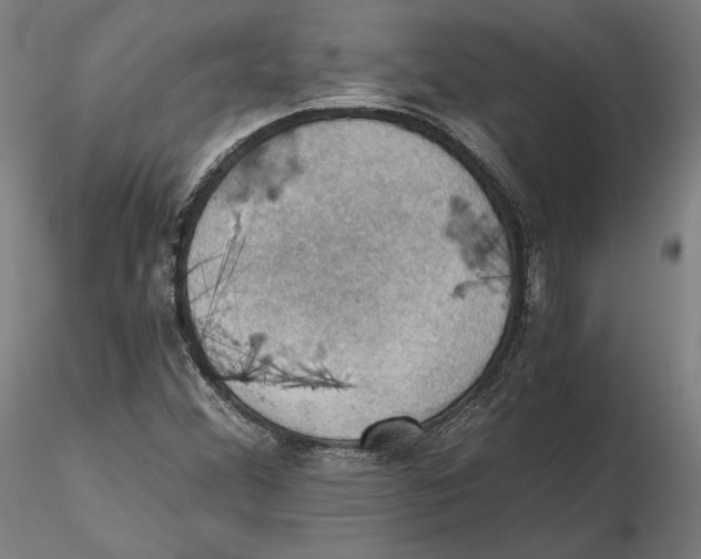 X0000115411356200912011330