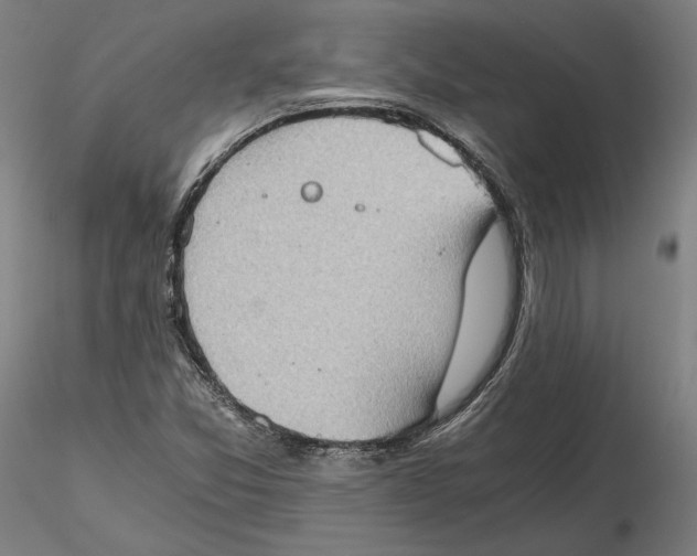 X0000115411357200912011330