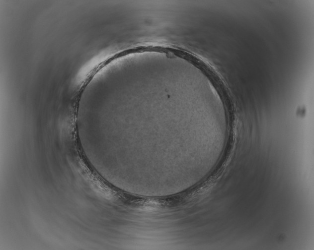 X0000115411359200912011330