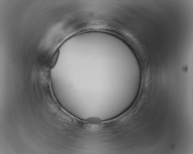 X0000115411361200912011330