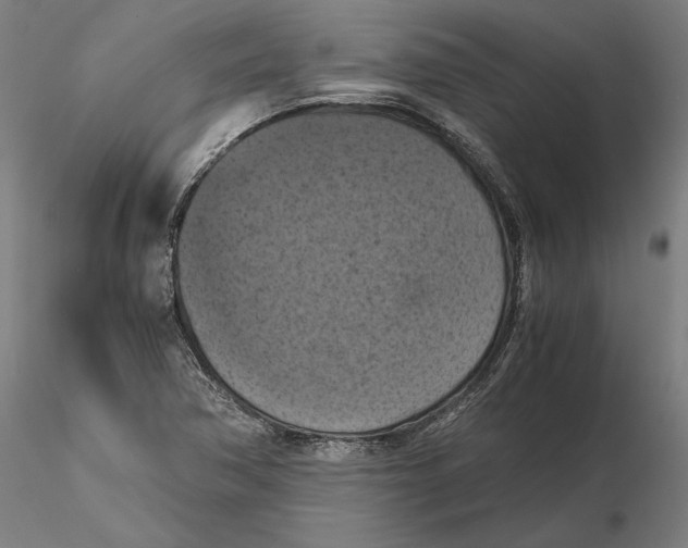 X0000115411362200912011330