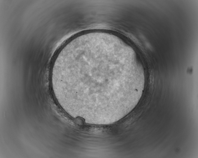 X0000115411364200912011330