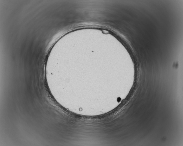 X0000115411365200912011330