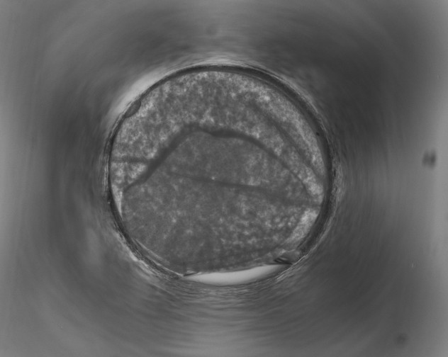 X0000115411367200912011330