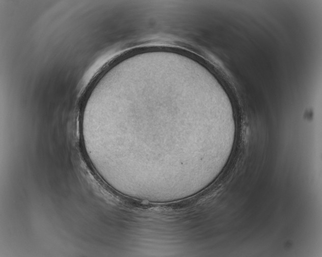 X0000115411368200912011330