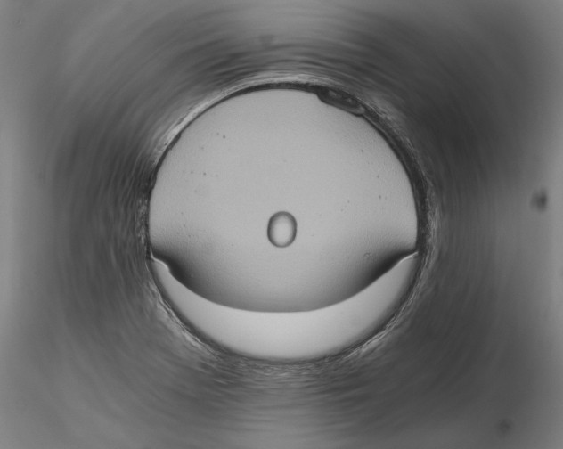 X0000115411369200912011330