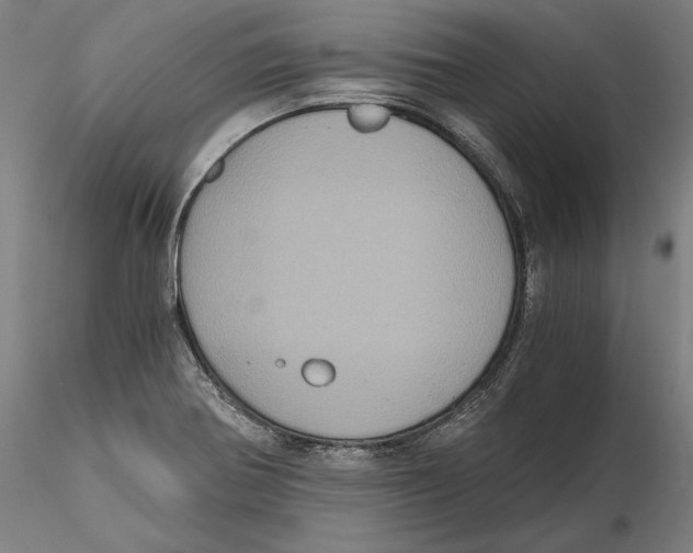 X0000115411370200912011330