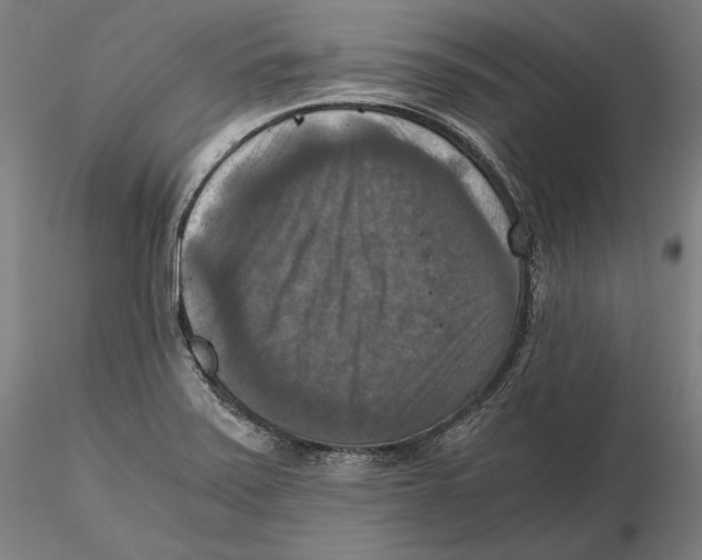 X0000115411371200912011330