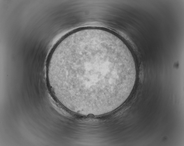 X0000115411372200912011330