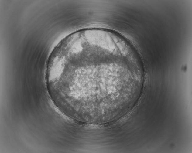 X0000115411374200912011330