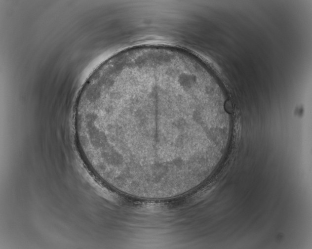 X0000115411375200912011330