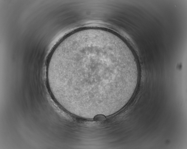 X0000115411376200912011330