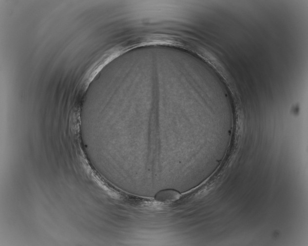 X0000115411377200912011330