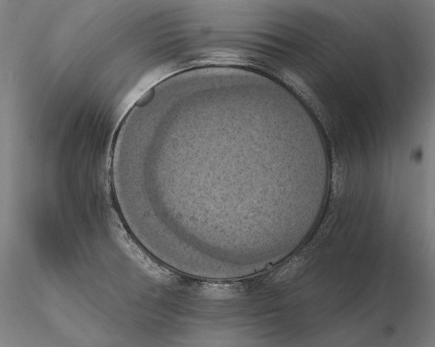 X0000115411378200912011330