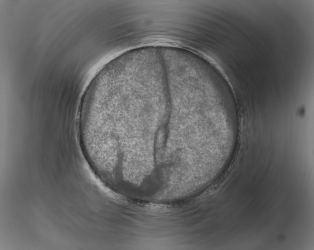 X0000115411379200912011330