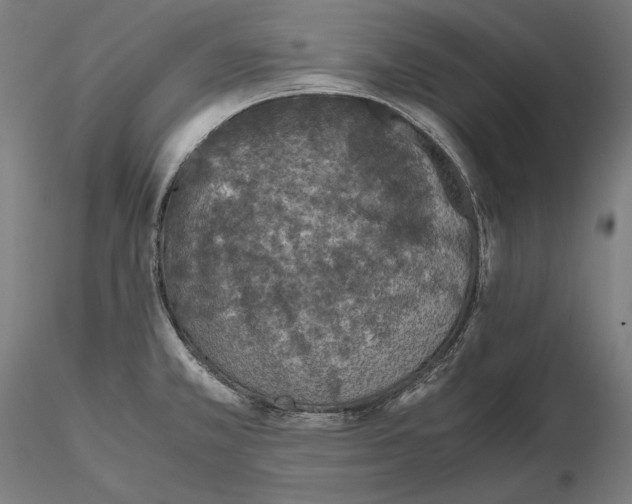 X0000115411381200912011330