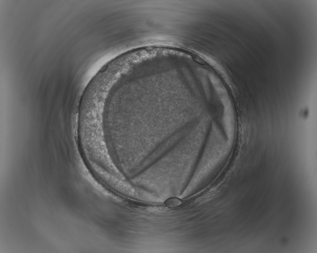 X0000115411383200912011330