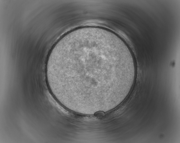 X0000115411384200912011330