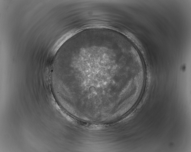 X0000115411385200912011330