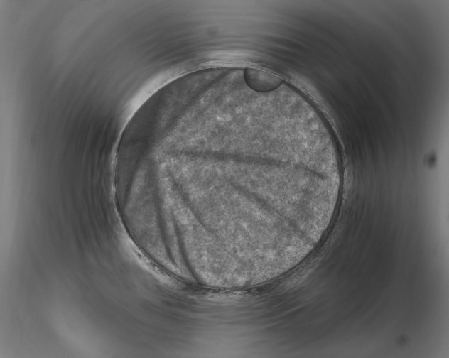 X0000115411386200912011330