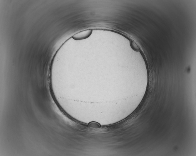 X0000115411387200912011330