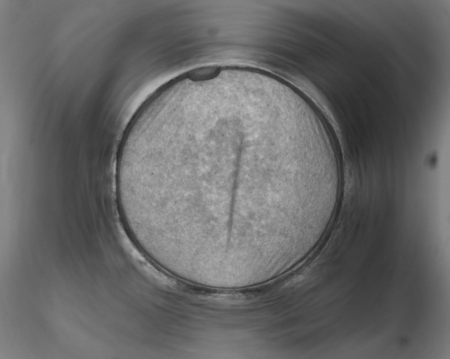 X0000115411388200912011330