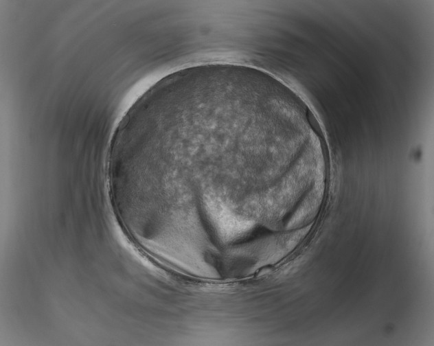 X0000115411389200912011330