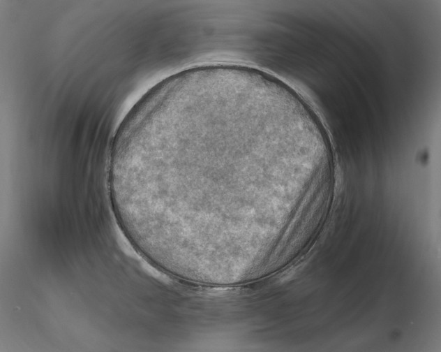 X0000115411390200912011330