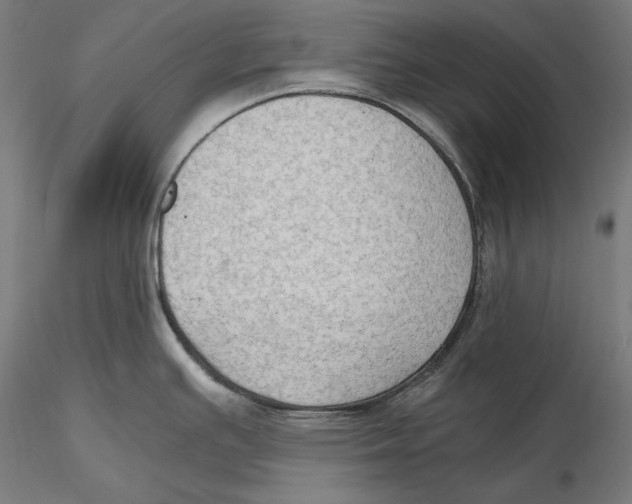 X0000115411391200912011330