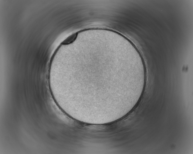 X0000115411392200912011330