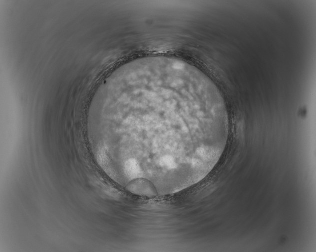 X0000115411393200912011329