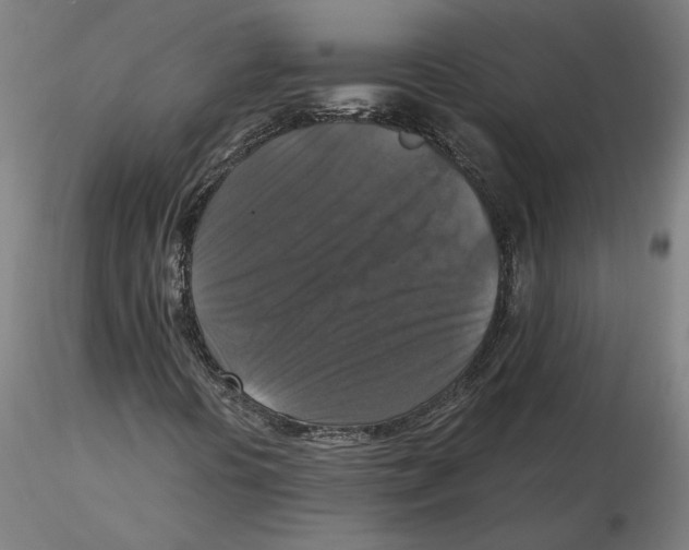 X0000115411394200912011329