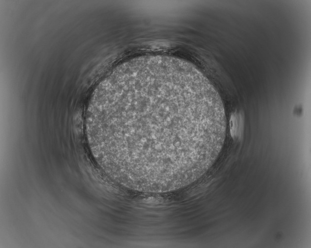 X0000115411395200912011329