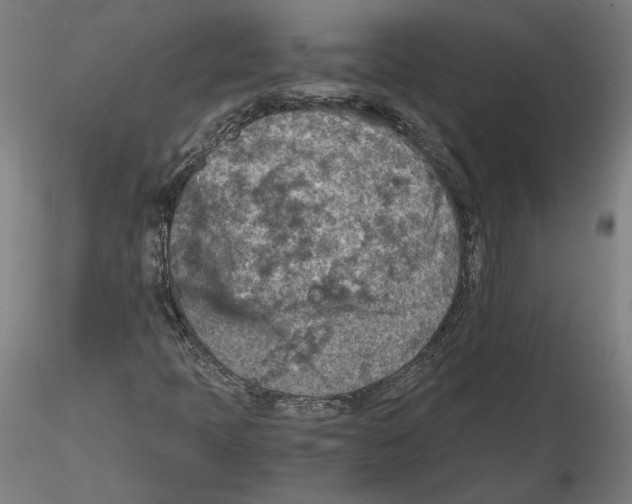 X0000115411397200912011329