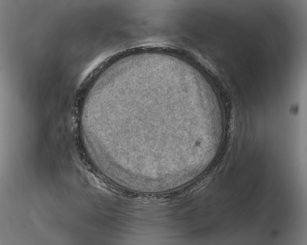 X0000115411400200912011329