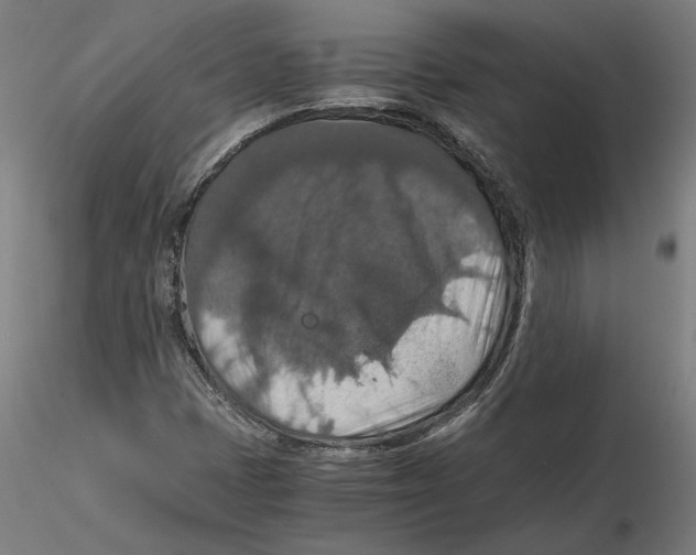 X0000115411401200912011329