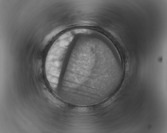 X0000115411402200912011329