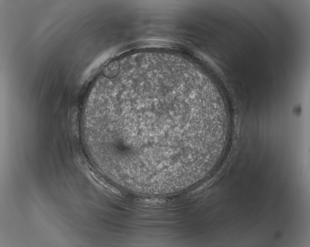 X0000115411403200912011329